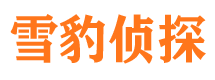 临渭外遇出轨调查取证